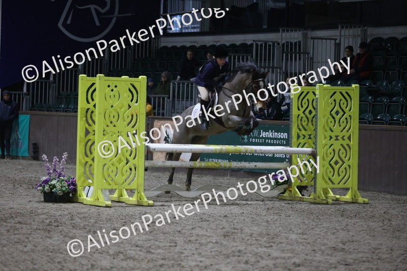 20260125-5179 - Class 5 - 80cm