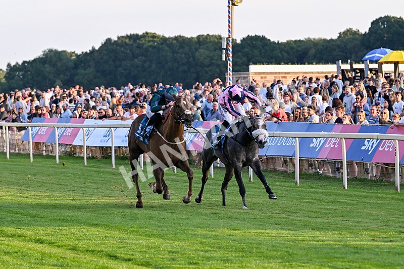 240726-Race 6-Explosive Finnish-5583 - Race 6 20.25pm Sky Bet Go-Racing-In-Yorkshire Summer Festival Handicap