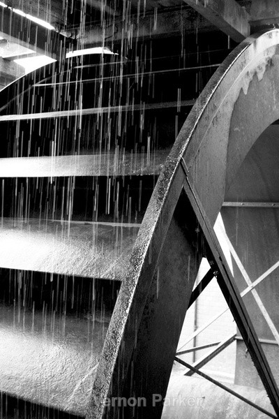  - Traditional Black & White