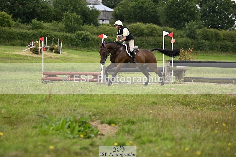 240630-122851-00871 - 915-Amanda_Wreford-Brown-Midsummer_Dazzle