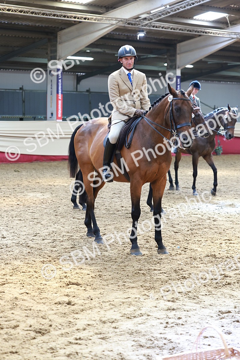 SBM_14978 - Class 108 - Ridden Retired Racehorse