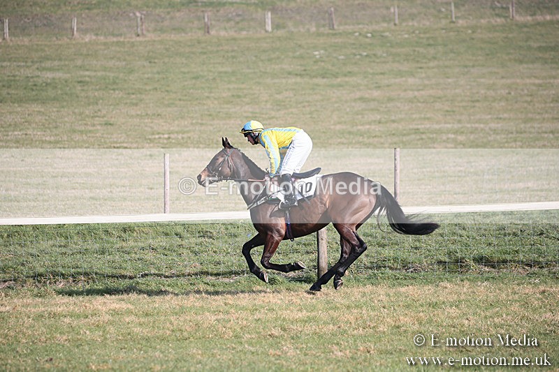 PtP 230219 158 - Vine & Craven Point-To-Point - Barbury 23/02/19