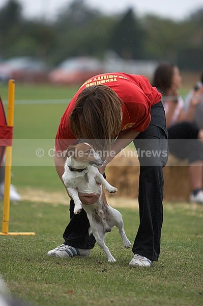 - Tendring Agility Group- St Osyth Summer Fete