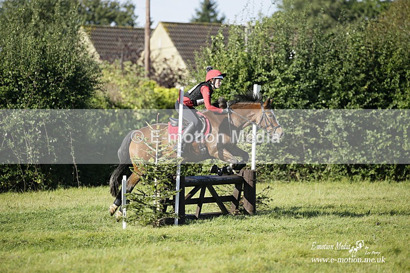 WWHT 031021 775 - Novice Restricted (0.80m) 03/10/21