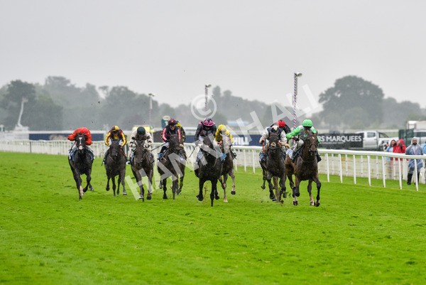 140723-Race 7-Gibside-8414 - Race 7 5.30pm William Hill Extra Place Races Daily Apprentice Handicap