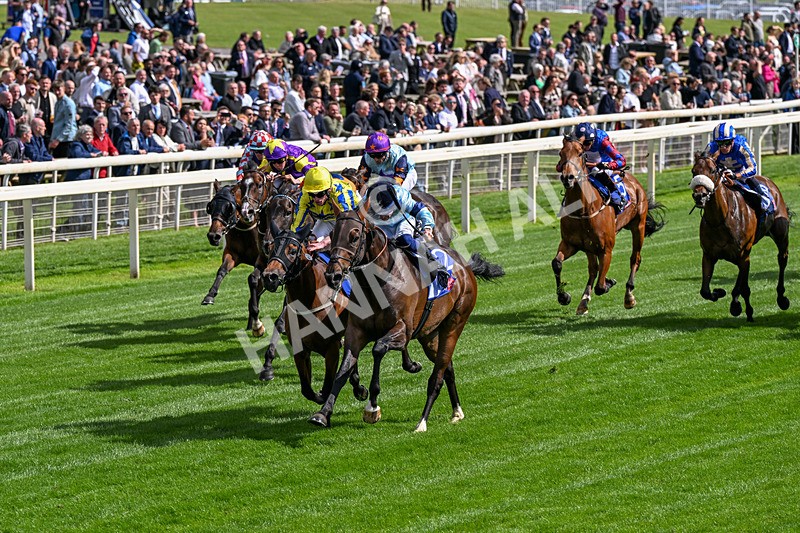 120626-Race 5-Antipodes-0287 - Race 5 16.10pm Sky Bet The World's Gone Football Handicap