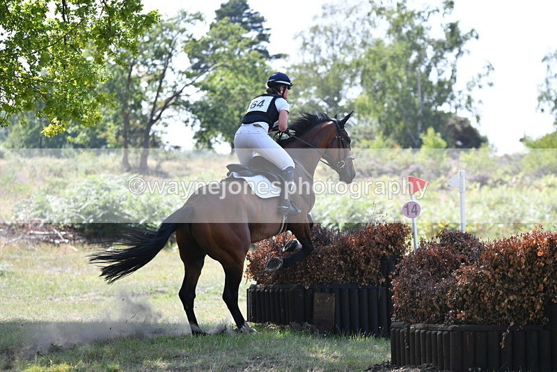 WJ5_3463 - XC Time 13:30 to 14:00