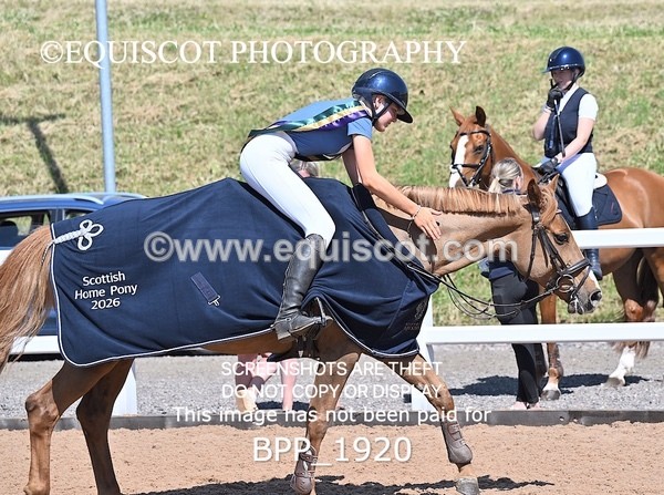 BPP_1920 - THU CLASS 3 Scottish Branch North West Junior Championship **Viewing/Selection class for 148 teams**