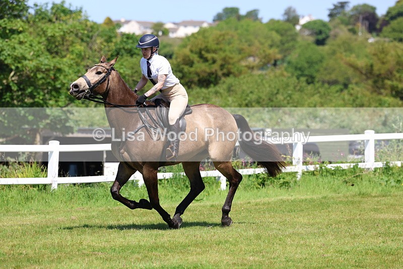 3E7A6945 - Class 30: Novice Working Hunter
