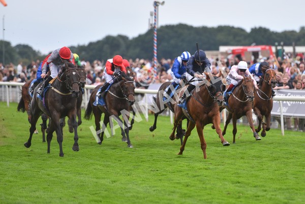 yr20082021r7-33 - Race 7 5.10pm Sky Bet Mile