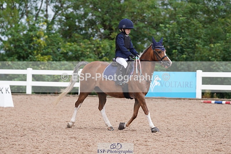 240809A-100516-00411 - Dressage Competition