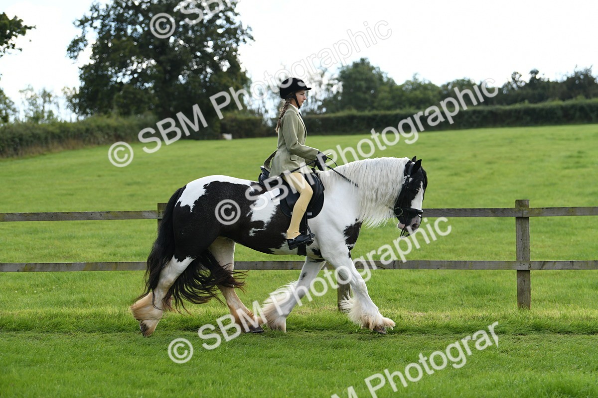 SBM_46753 - S12 - Family Horse & Pony