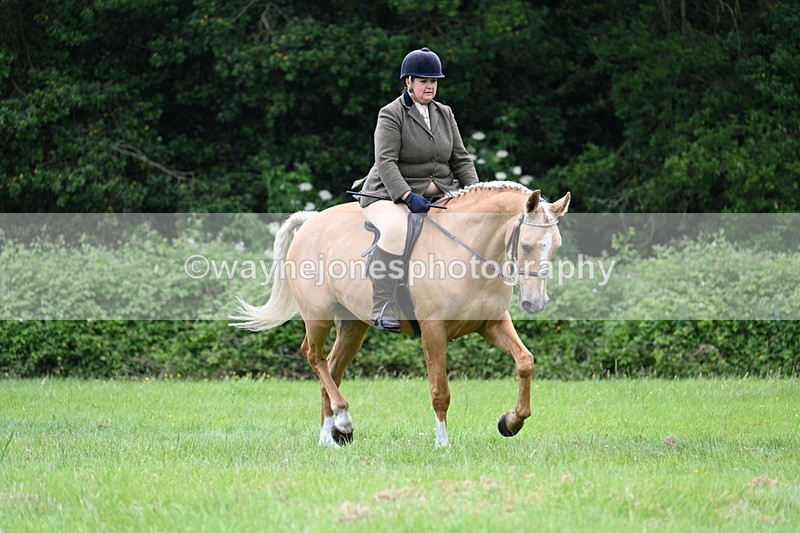 WJ7_2108 - Class 12A Coloured Class