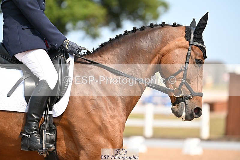 250816-135059-04952 - 071-Jane.MurrayHebog.Mischief