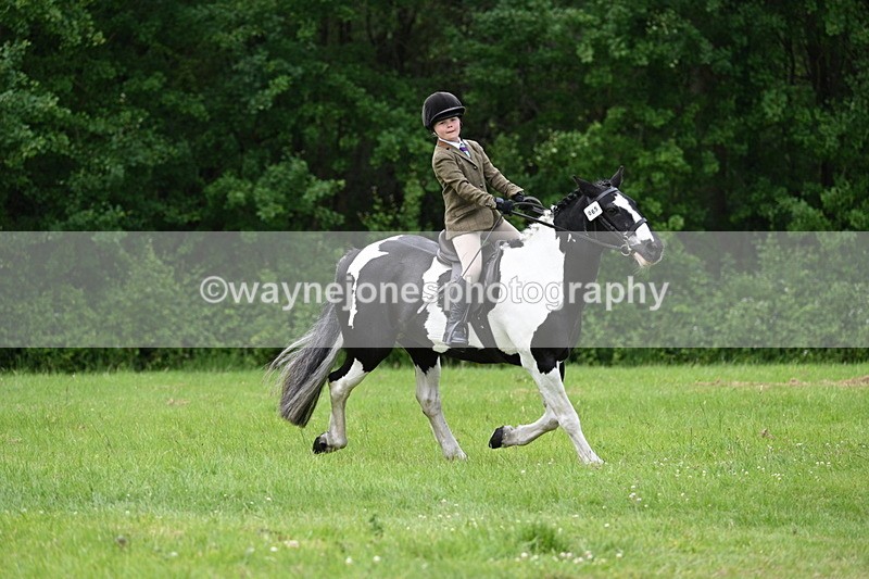 WJ7_2413 - Class 12A Coloured Class