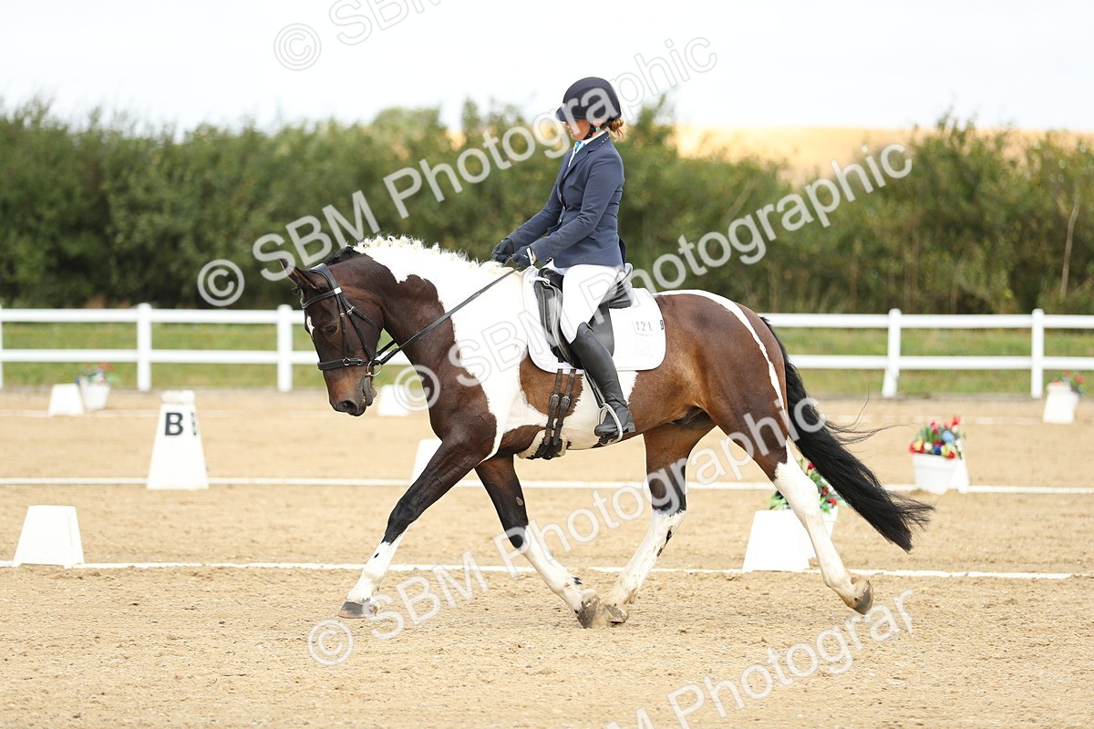 SBM_016382 - Class 13 - Novice 23 - 11.25-12.35