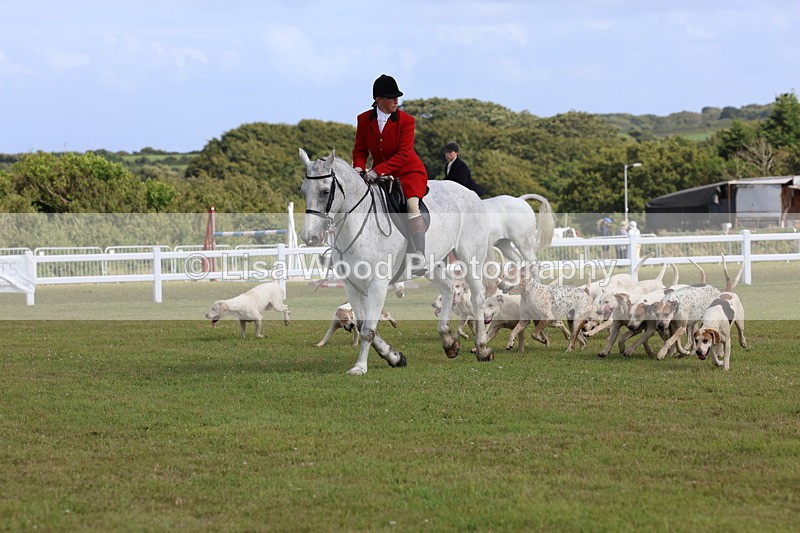 3E7A3382 - Parade of Hounds