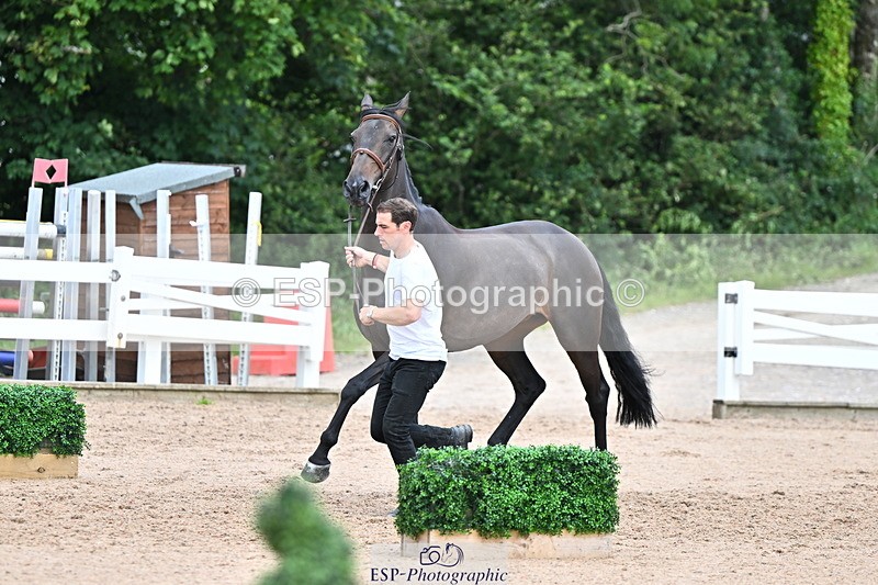 240718A-105322-01914 - Trot Up 2pm to 3pm - This folder is not in time order