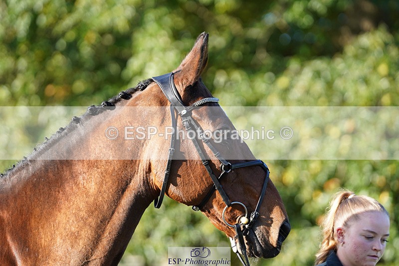 241026-100056-11539 - 008-Charlie.Piper-ZADOK.D