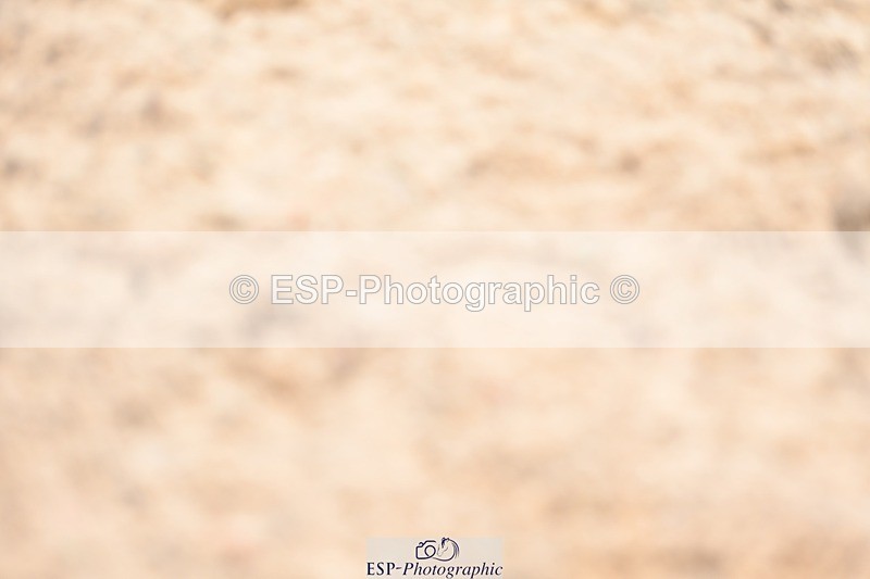 230813-132656-07571 - Cls 13 Medium Bronze 13.15 to End