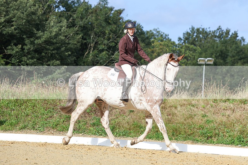 3E7A2381 - Class 1: Intro 4 2024 section A