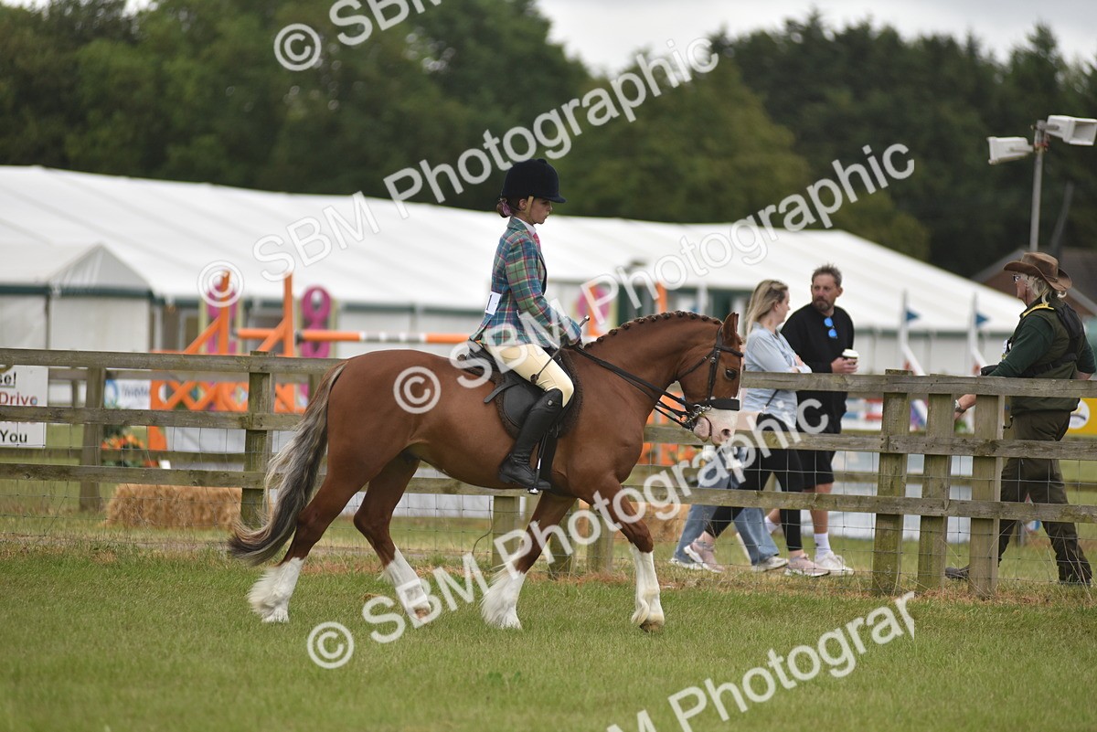 SBM_11985 - Class 110-112 - LIHS BSPS Performance Pones