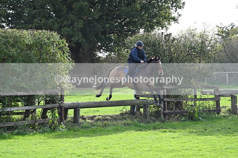 WJ7_0921 - Time 14:27 to 15:11