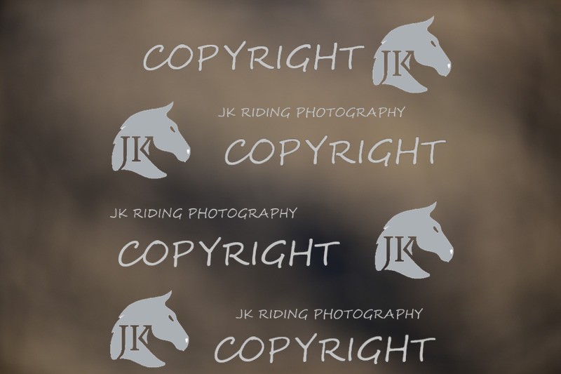 SBP_1069 - 10am - 11am