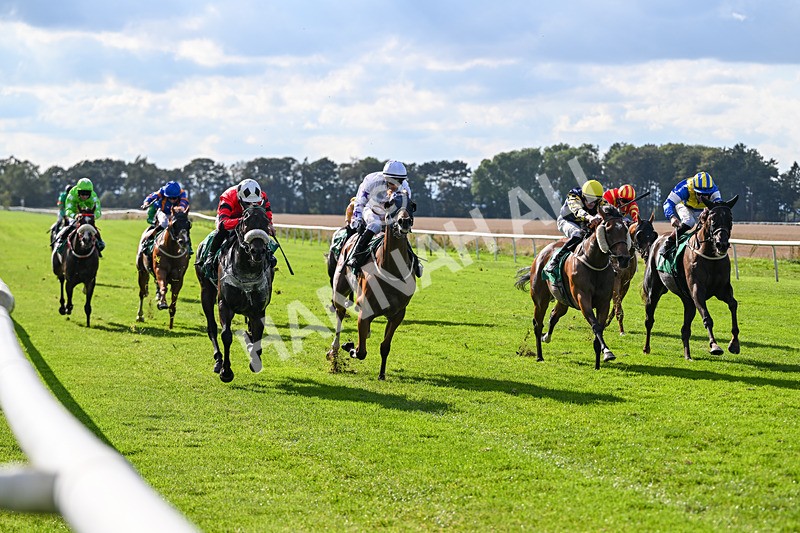 140926-Race 4-Lamlash Bay-7230 - Race 4 3.51pm Sapphire Selling Handicap