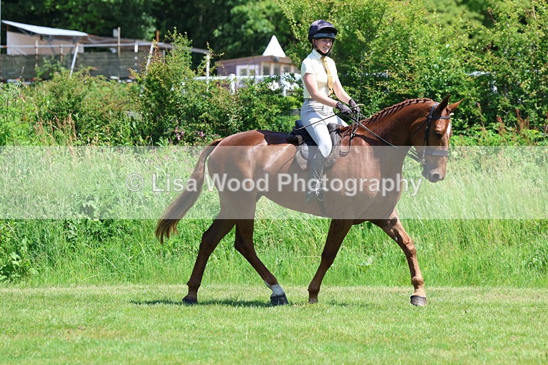 3E7A8042 - Working Hunter Championship
