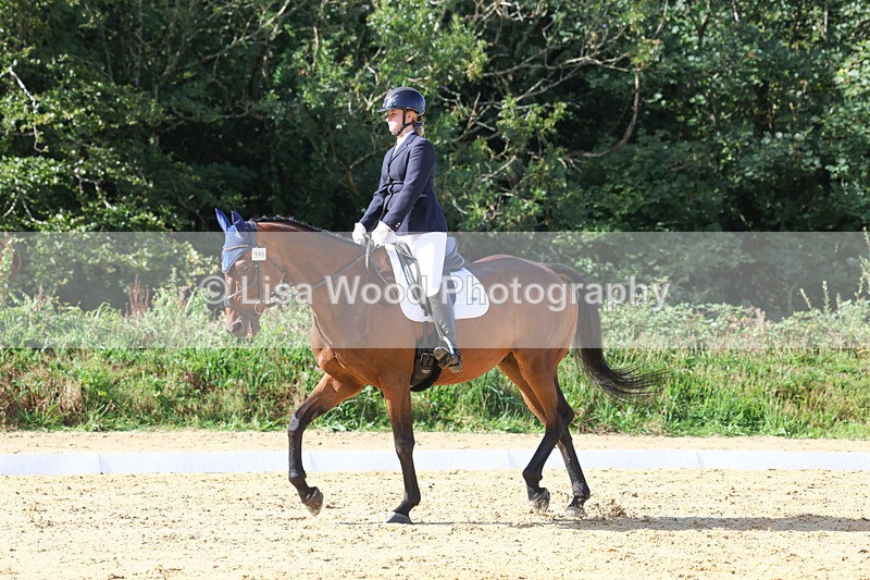 3E7A2556 - Class 1: Intro 4 2024 section A