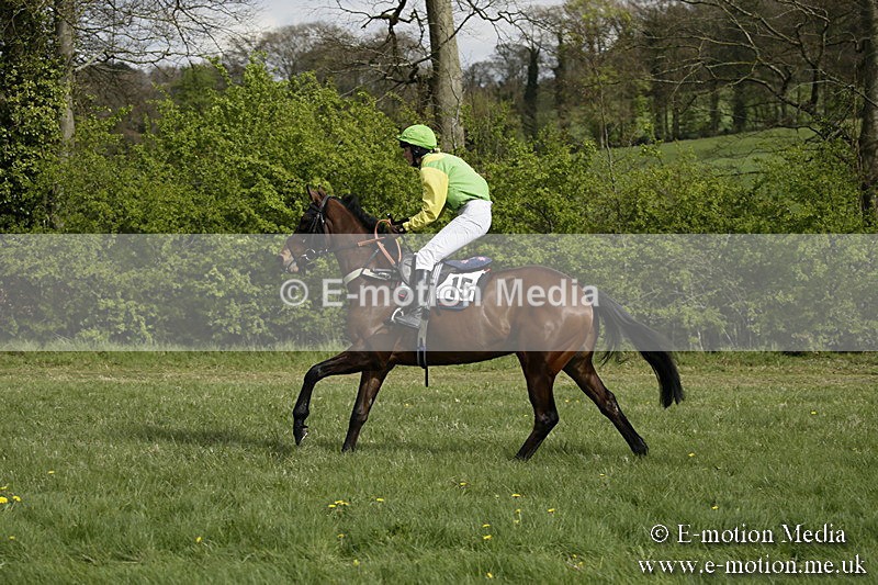 PtP 170417 254 - Old Berks Point-to-Point Lockinge 17/04/17