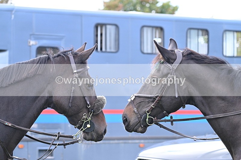 WJ7_5252 - Meet
