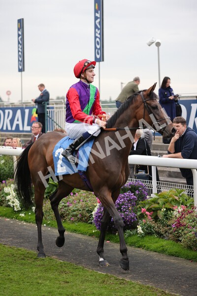 yr09102021r7-11 - Race 7 5.00pm Coral Proud Sponsors Of British Racing Finale Handicap