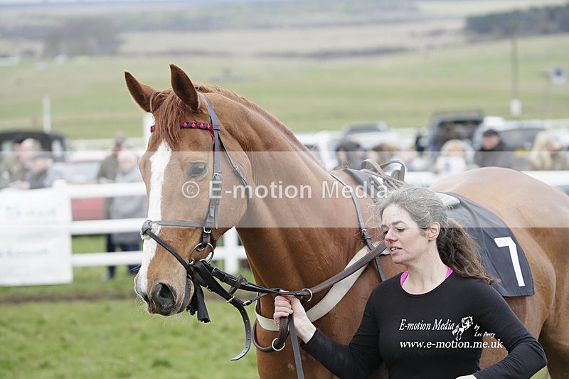 PtP 260323 0542 - New Forest Hounds Point-to-Point Larkhill 26/03/23