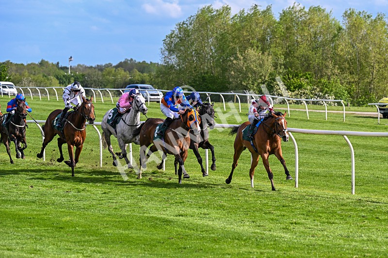 110526-Race 6-Betties Bay-1229 - Race 6 5.00pm Racing Again 21st May Fillies' Handicap
