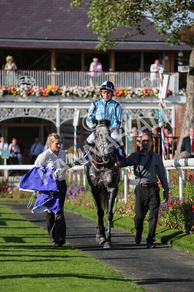 yr08102021r3-37 - Race 3 3.15pm Download The Casumo App Today Handicap