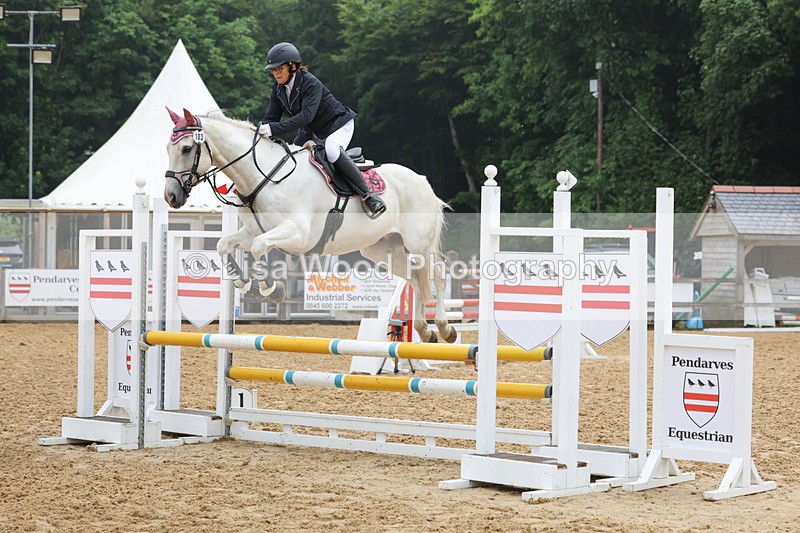 3E7A5526 - Class 4: Senior British Novice/90cm open