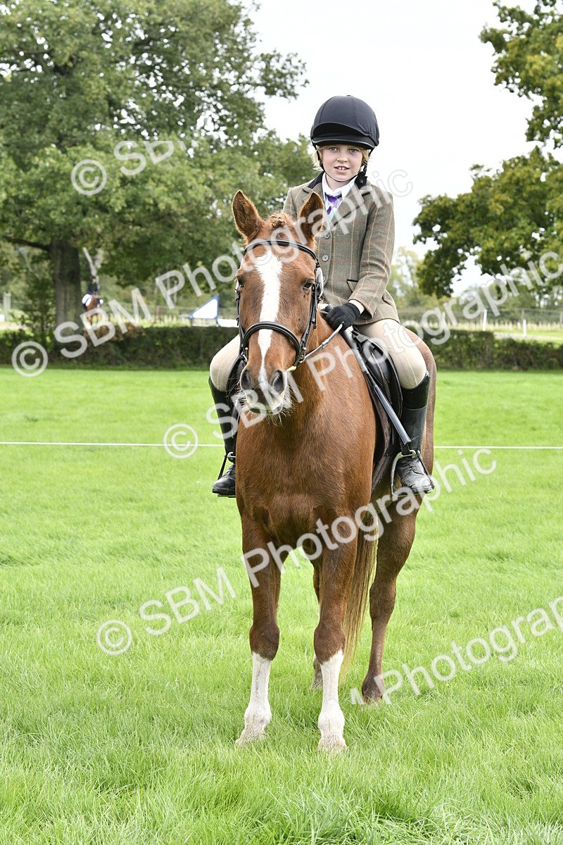 SBM_41619 - S32 - Mountain & Moorland Working Hunter Pony