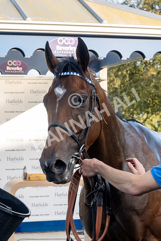 180924-Race 7-Fox Avatar-5631 - Race 7