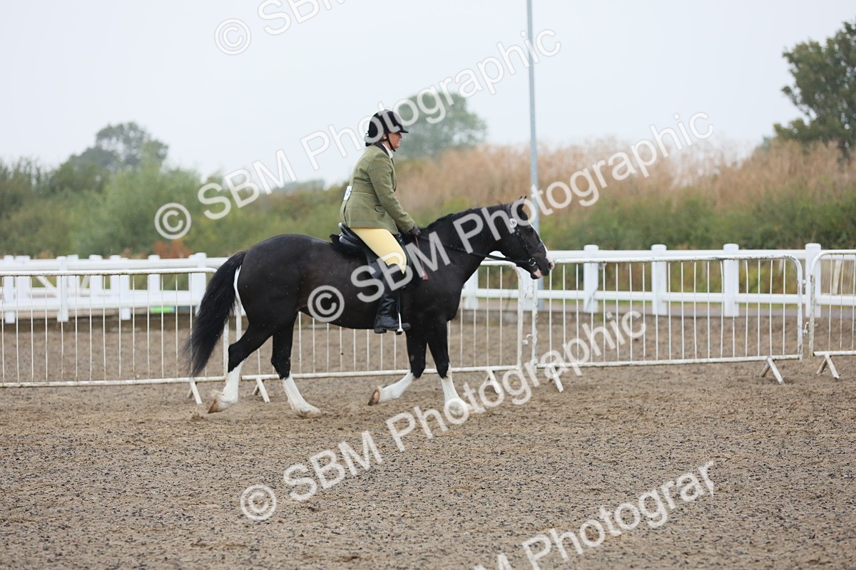 SBM_20012 - Class 802 - Ridden Groom - Helpers class