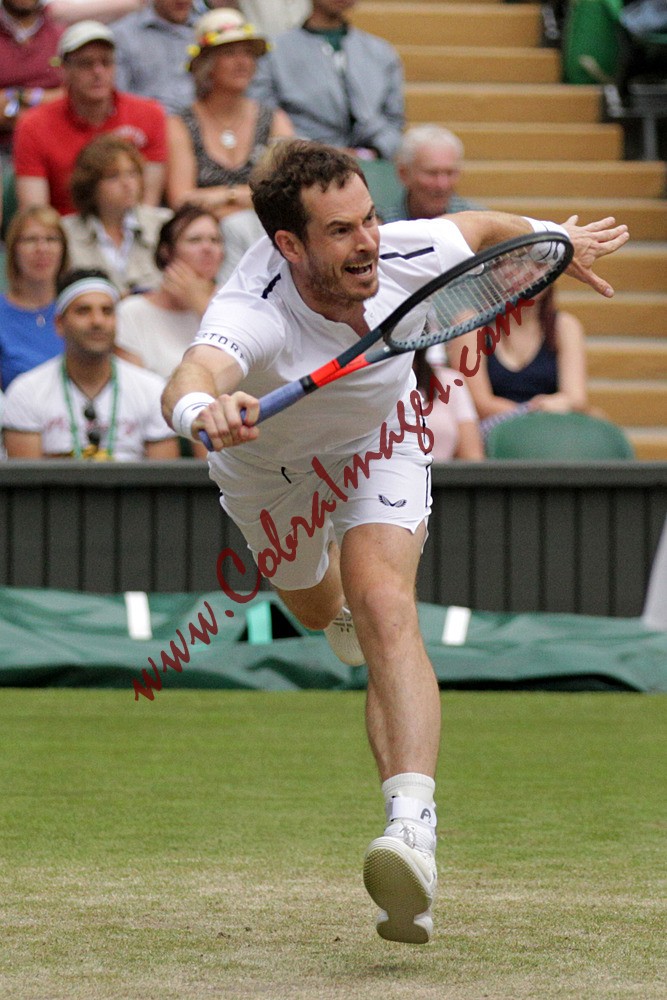 AF0I0162 - Wimbledon