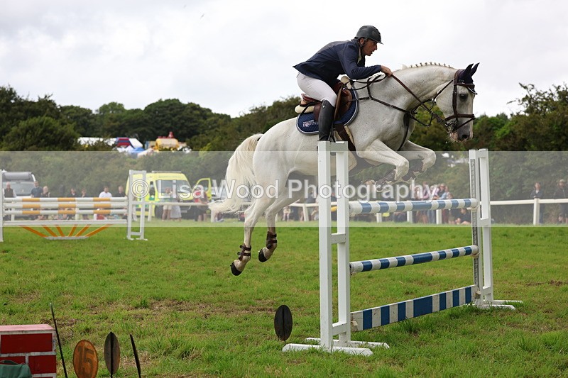3E7A8568 - Class 8: Senior Foxhunter/1.20m open