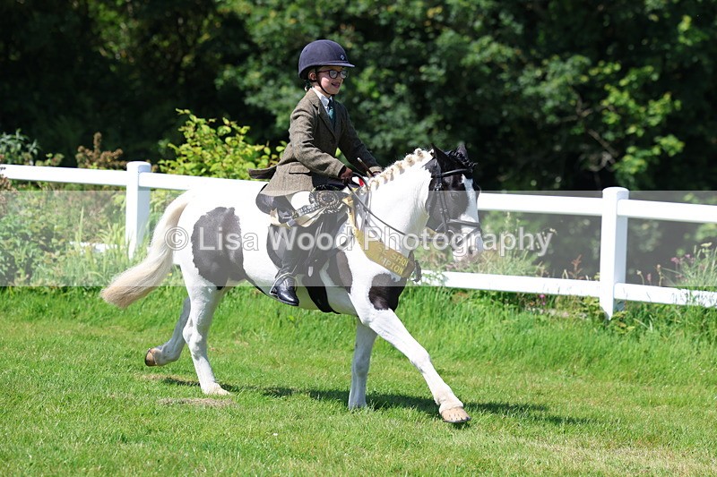 3E7A6858 - Working Hunter Pony Championship