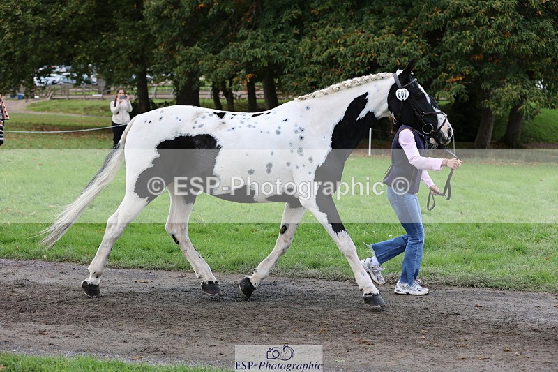 251026A-121635-25999 - H-607-Hannah.Bourgoine