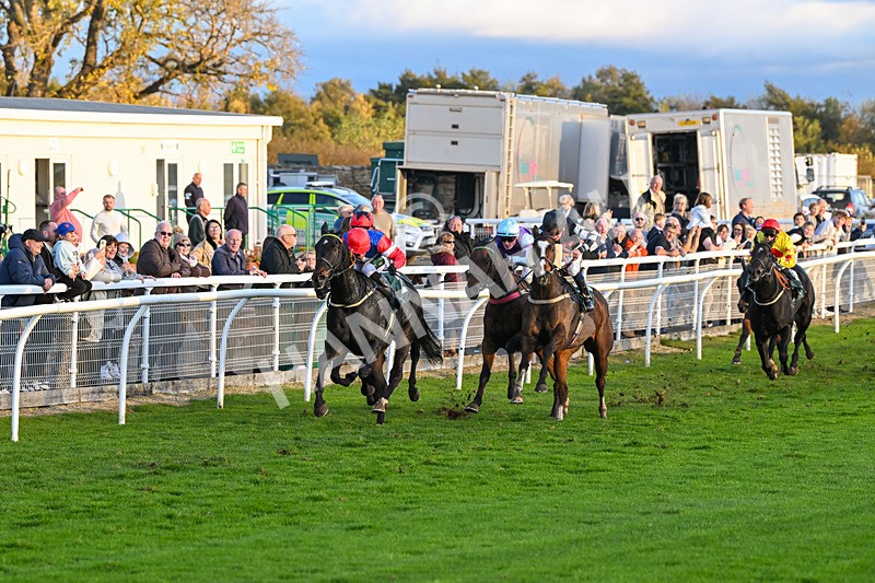 291024-Race 7-Crocodile Power-6456 - Race 7