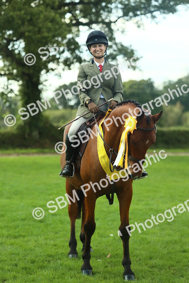 SBM_52214 - S33 - Working Hunter & Working Show Horse
