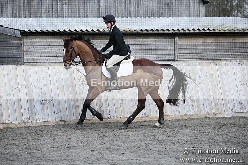 BVRC SJ 170319 349 - Bourne Valley Riding Club Showjumping 17/03/19