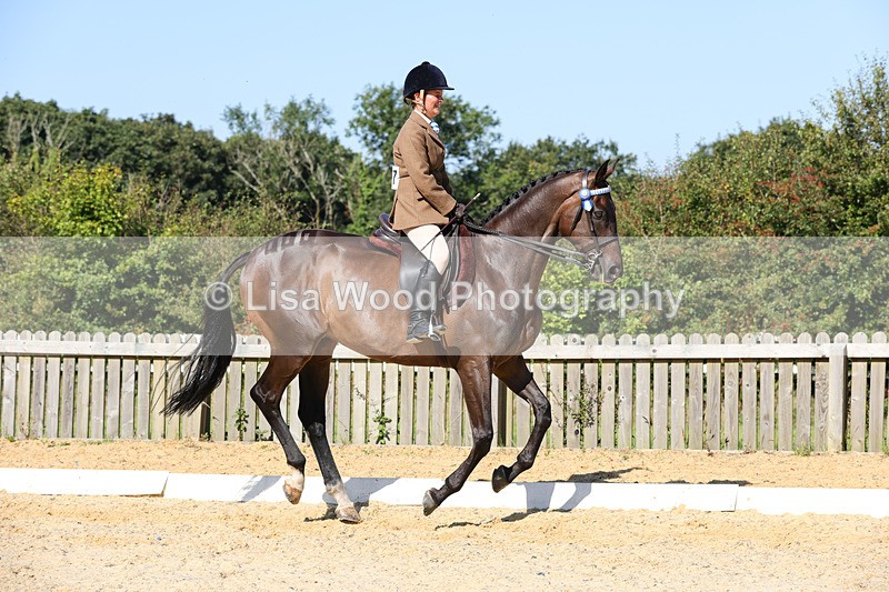 1X9A7908 - Class 10:Riding Horse