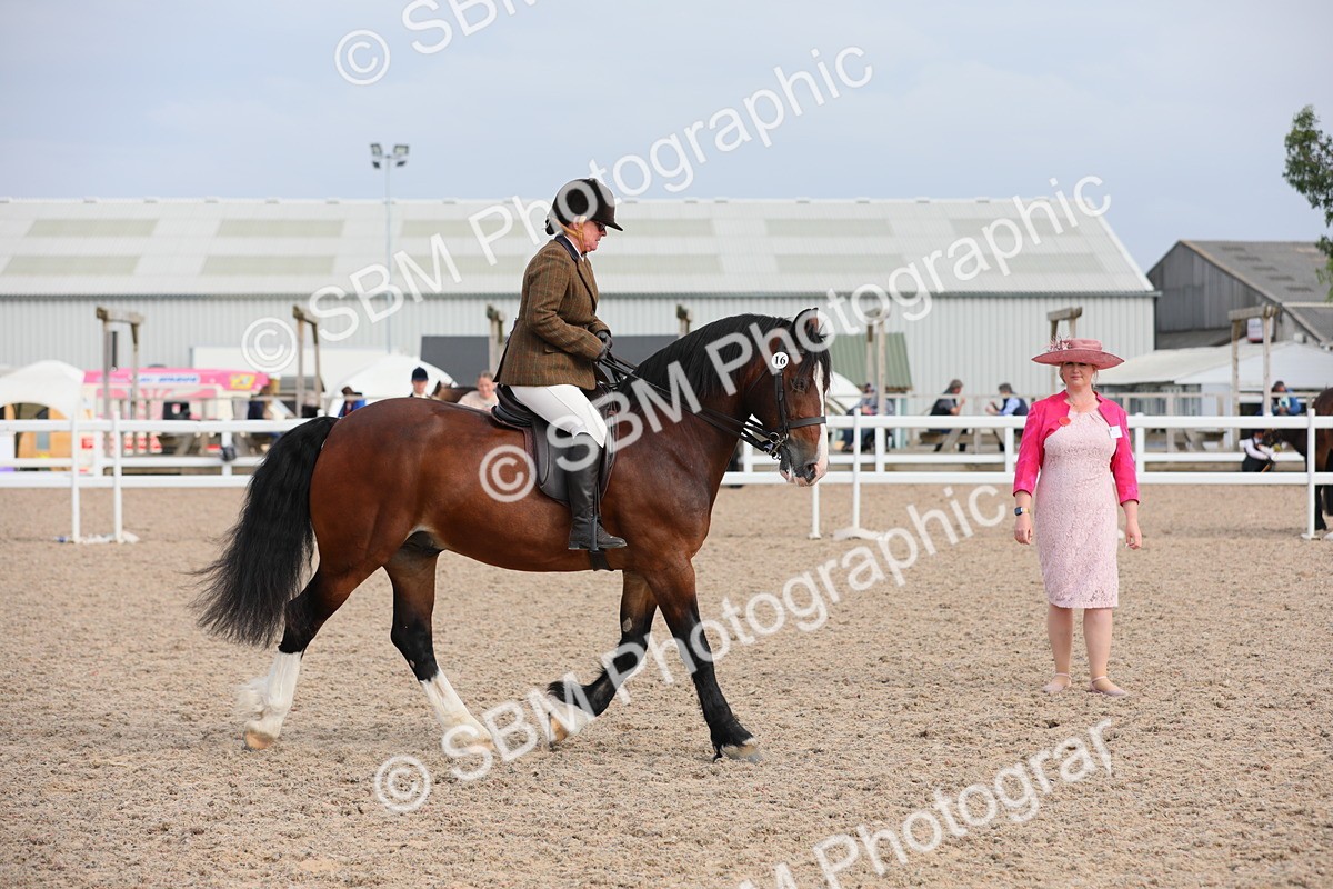SBM_17749 - Class 315 Best Horse/Rider Combination